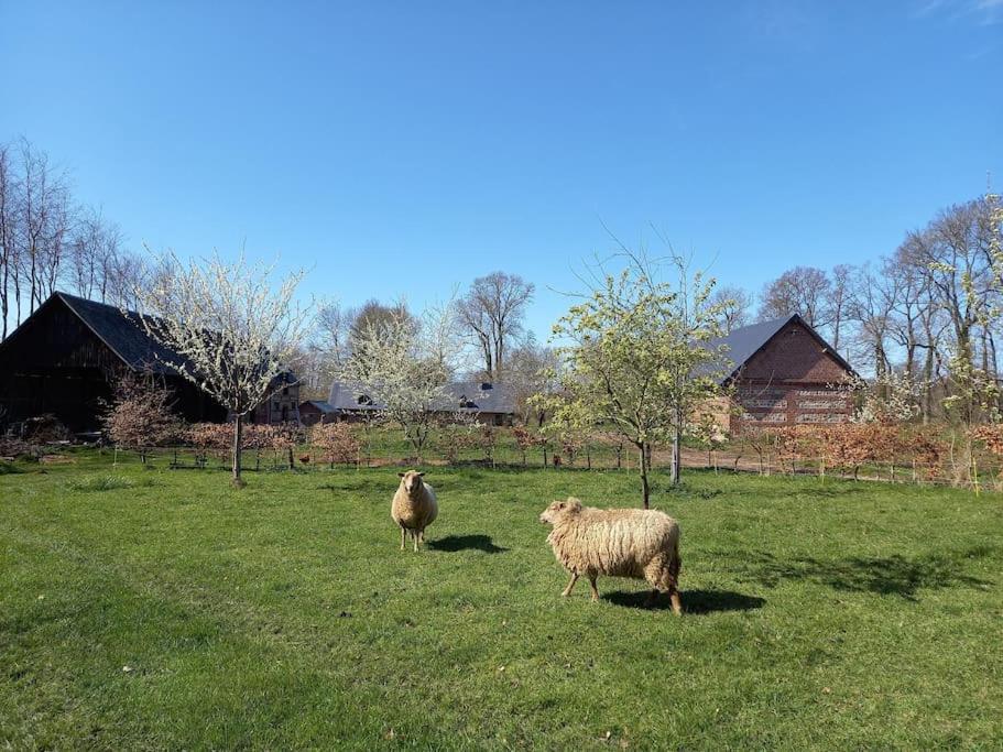 Holiday home La Maison Silleron Angiens